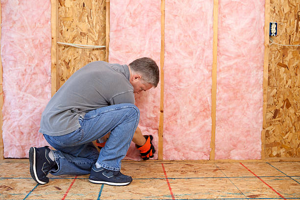 Best Residential Insulation in North Webster, IN
